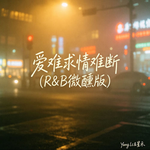 爱难求情难断(R&B微醺版)