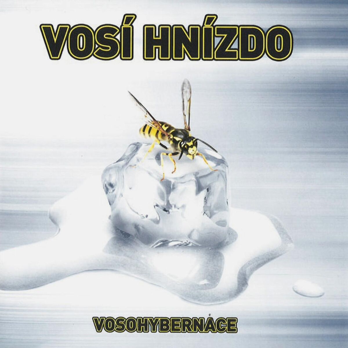 Album cover of Vosohybernace