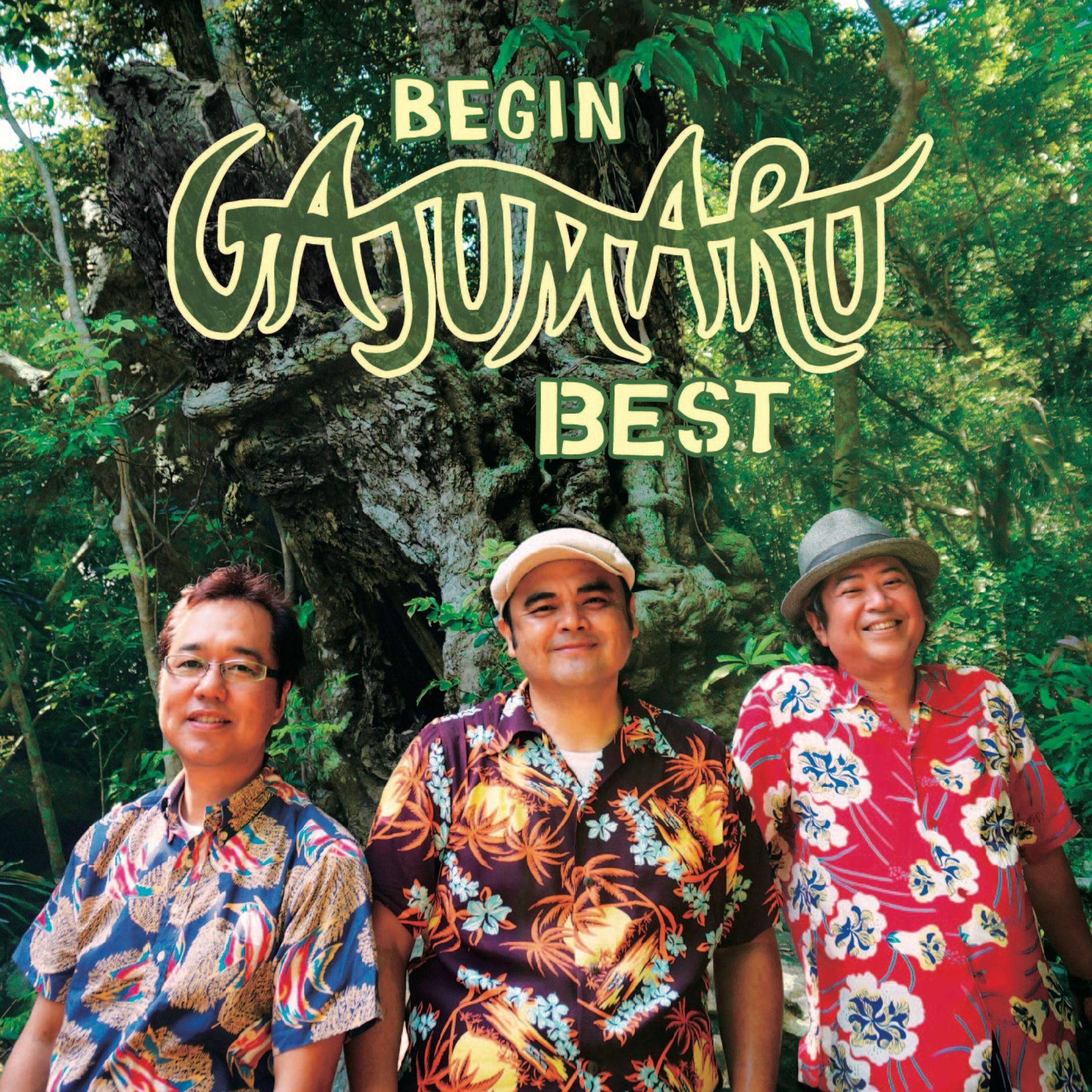 Album cover of BEGIN ガジュマルベスト