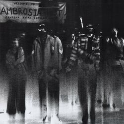 Cover of Ambrosia