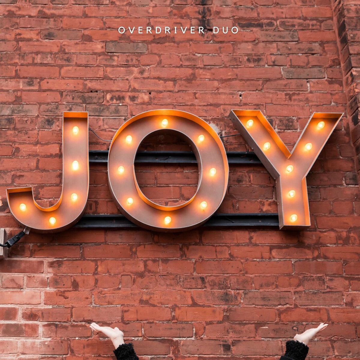 Album cover of Joy