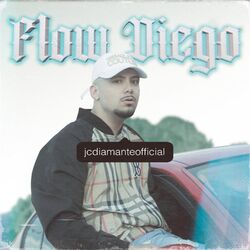 Cover of Flow Diego