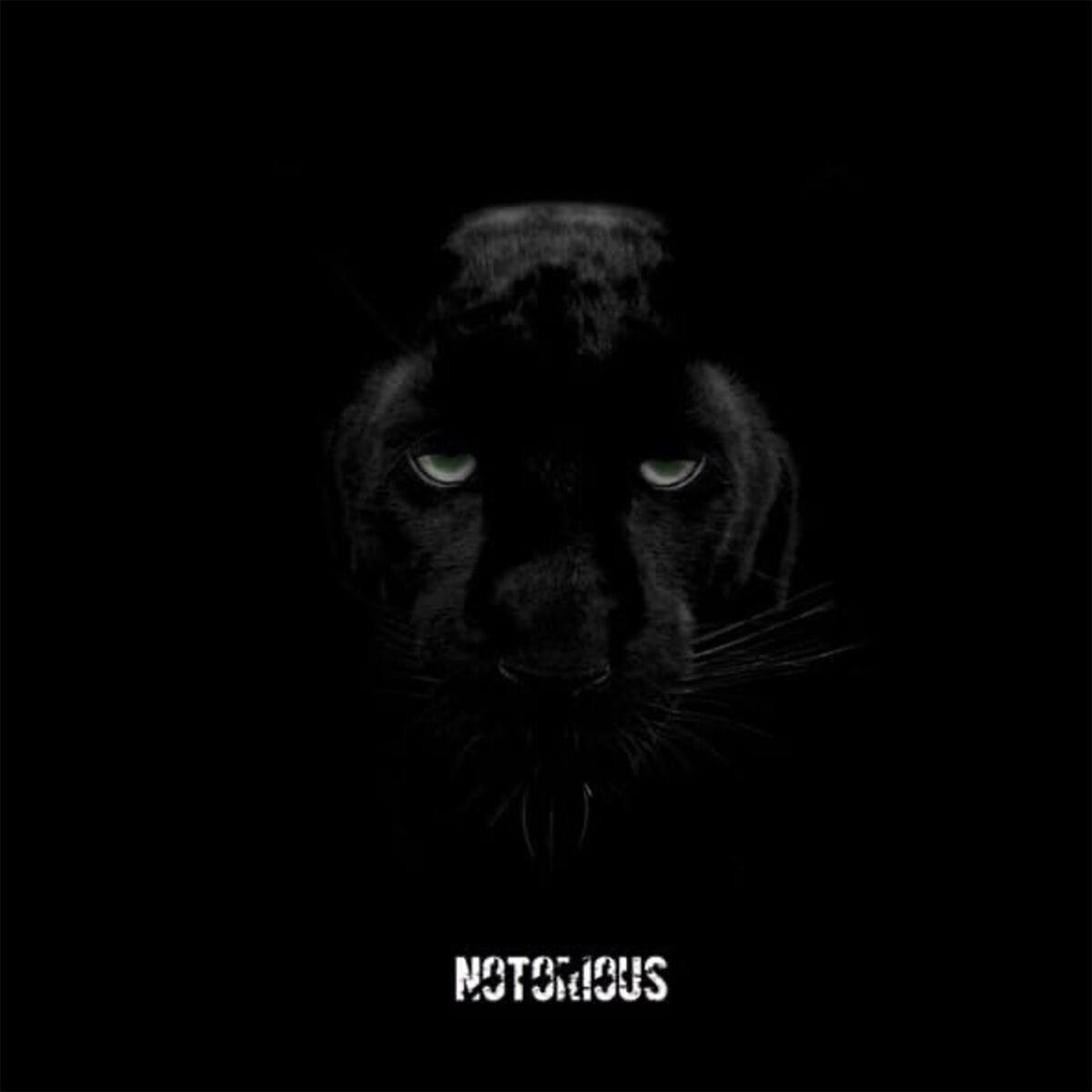 Album cover of Notorious