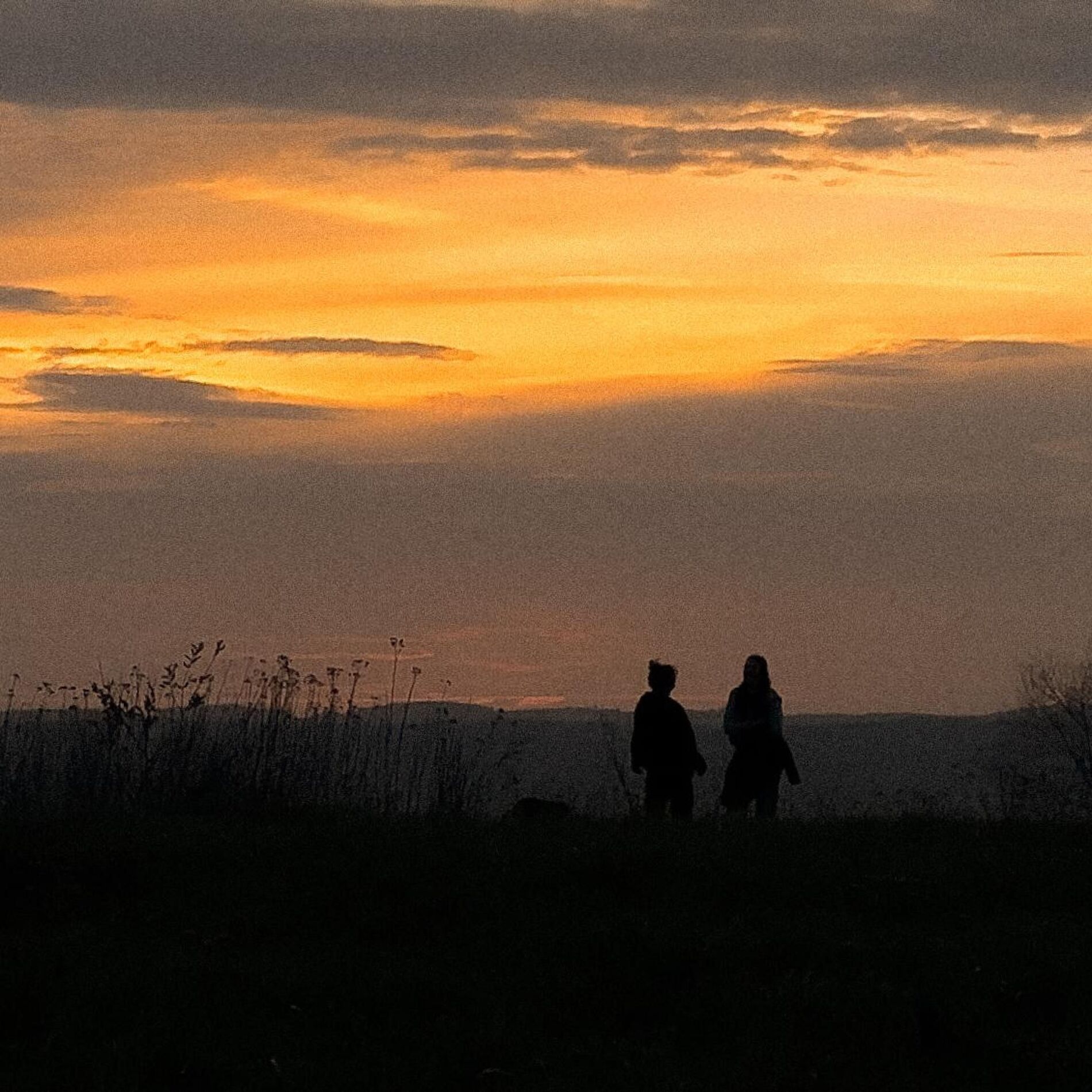 Album cover of The Last Goodbye