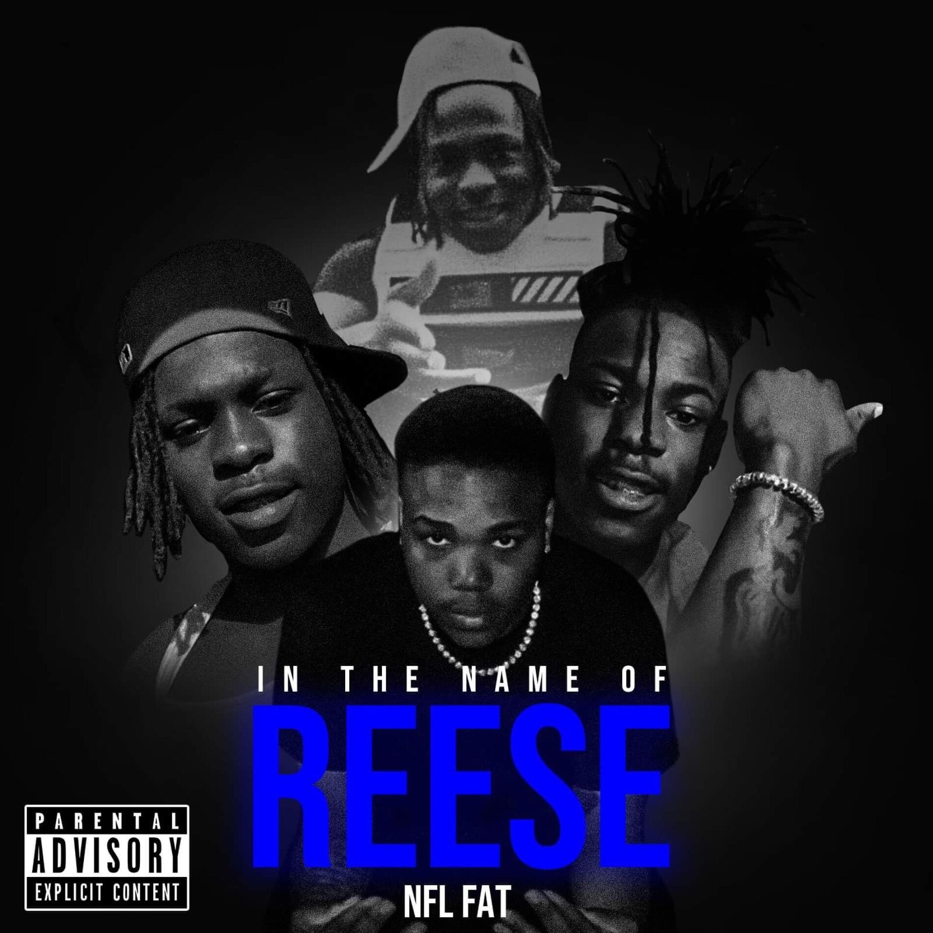 Album cover of In the Name of Reese