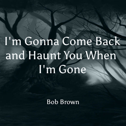 I'm Gonna Come Back and Haunt You When I'm Gone sleeve