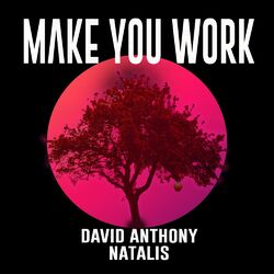 Cover of Make You Work