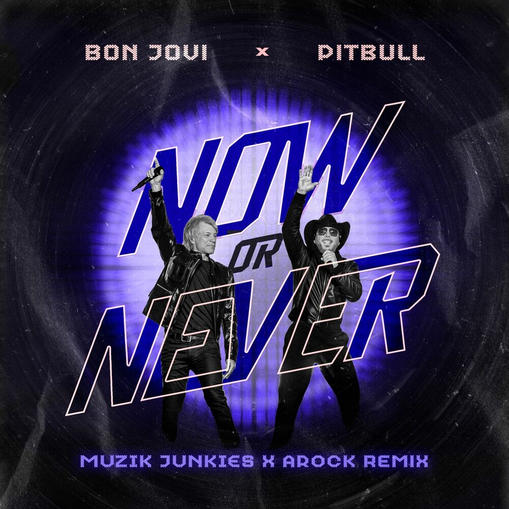 Picture of Now or Never (Muzik Junkies & AROCK Remix)