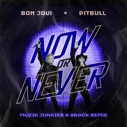Cover of Now or Never (Muzik Junkies & AROCK Remix)