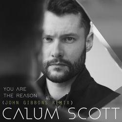 Capa de You Are The Reason (John Gibbons Remix)