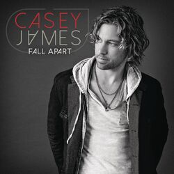 Cover of Fall Apart