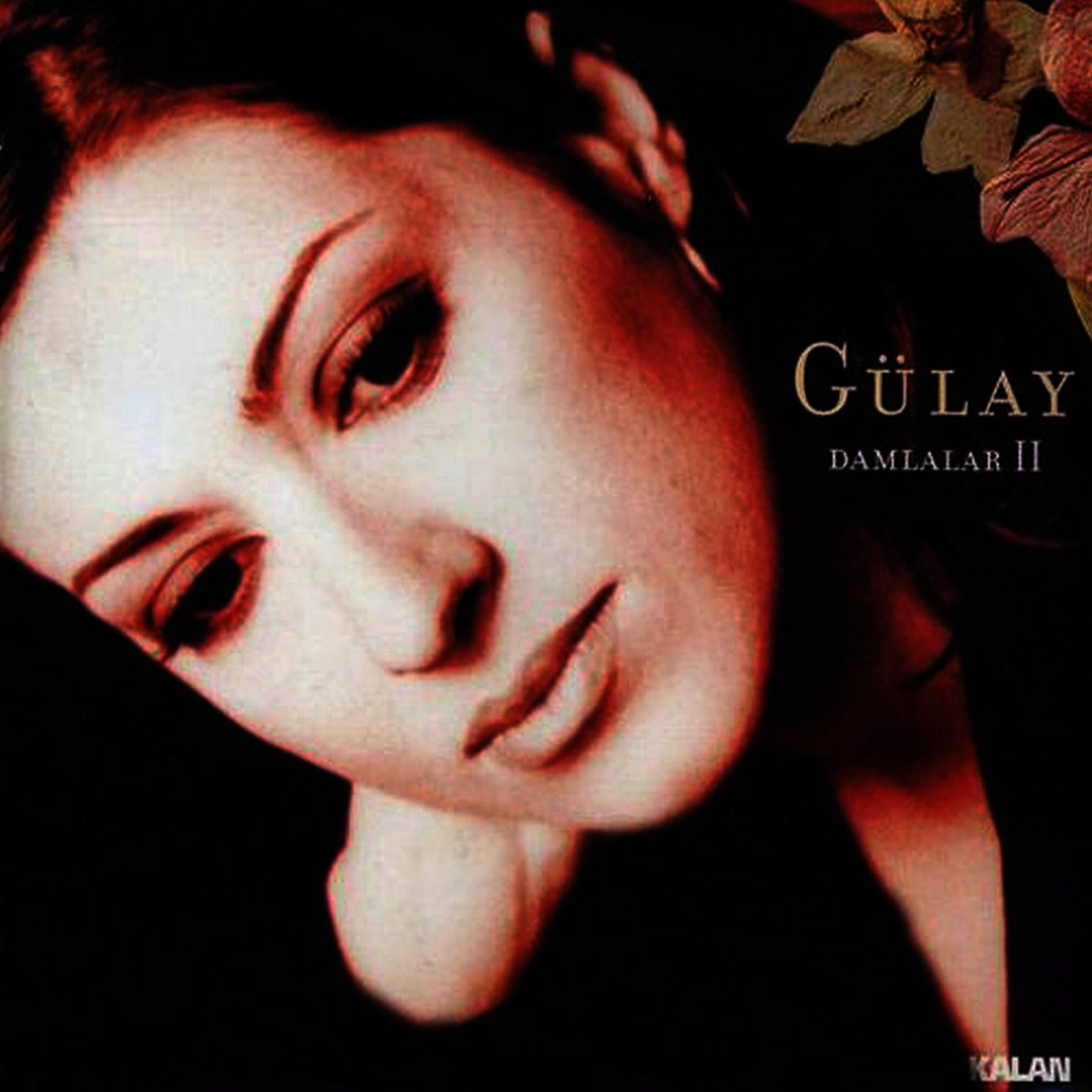 Album cover of Damlalar 2