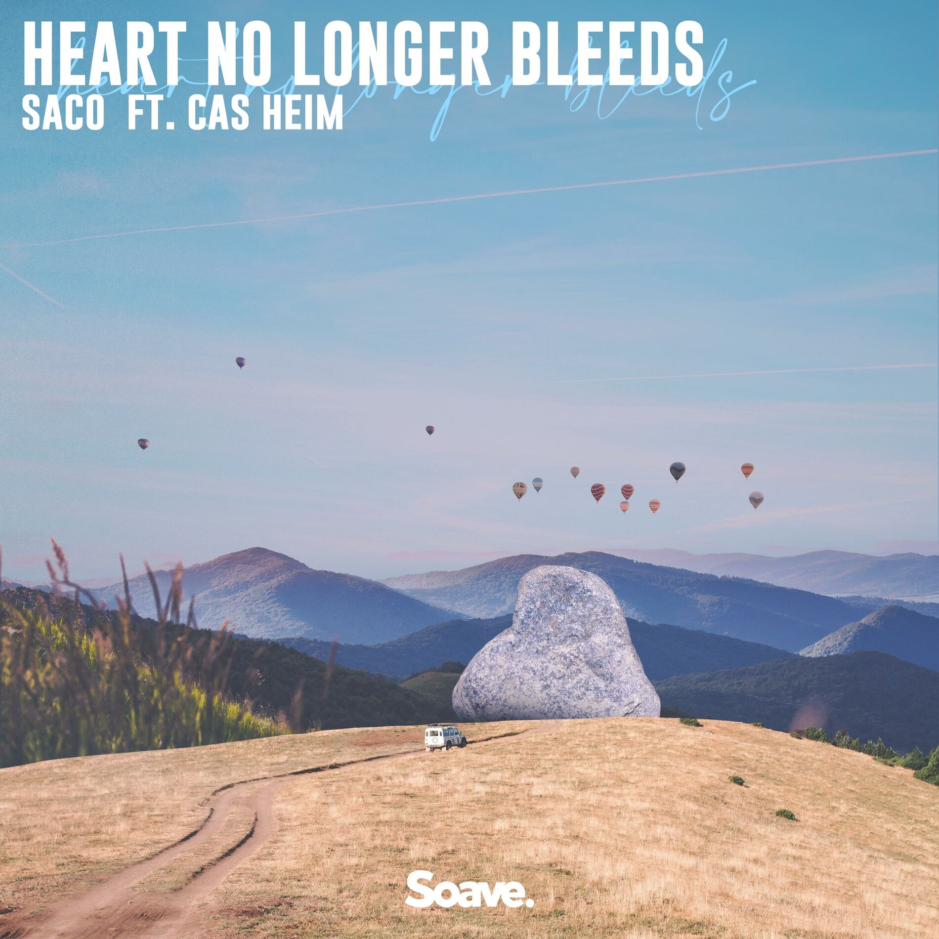 Album cover of Heart No Longer Bleeds