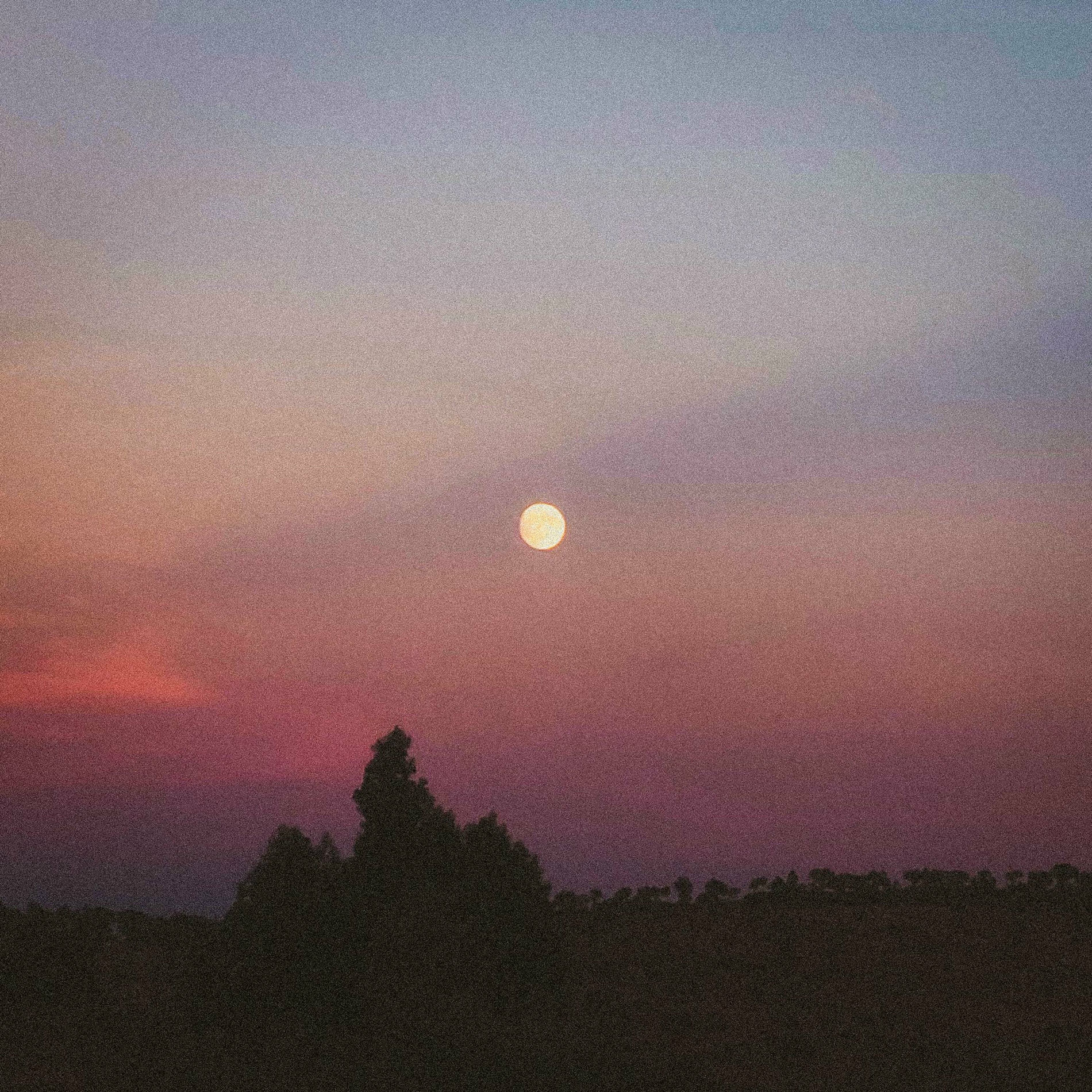 Album cover of soon morning