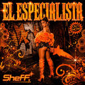 EL ESPECIALISTA