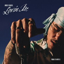 Cover of Lovin Me