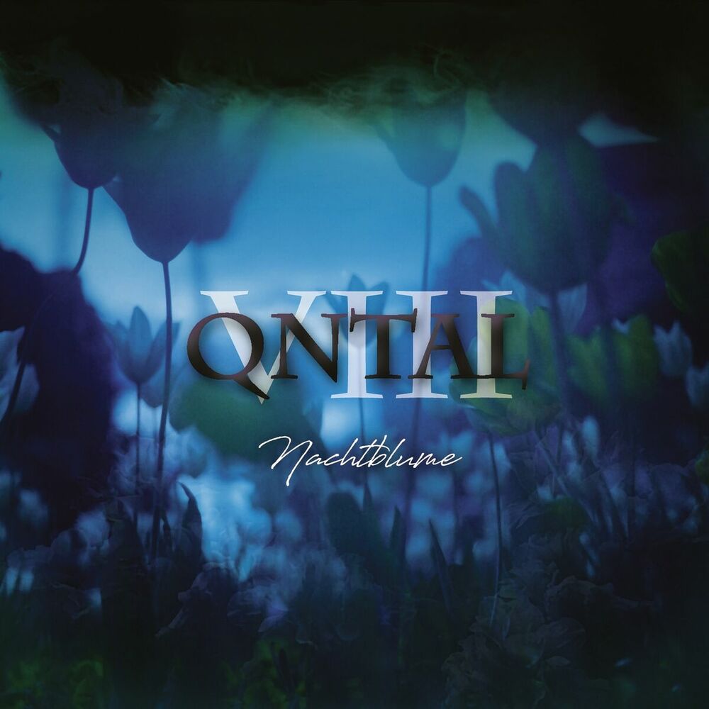 Picture of VIII - Nachtblume