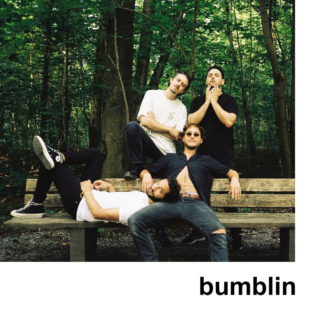 Pochette du titre bumblin
