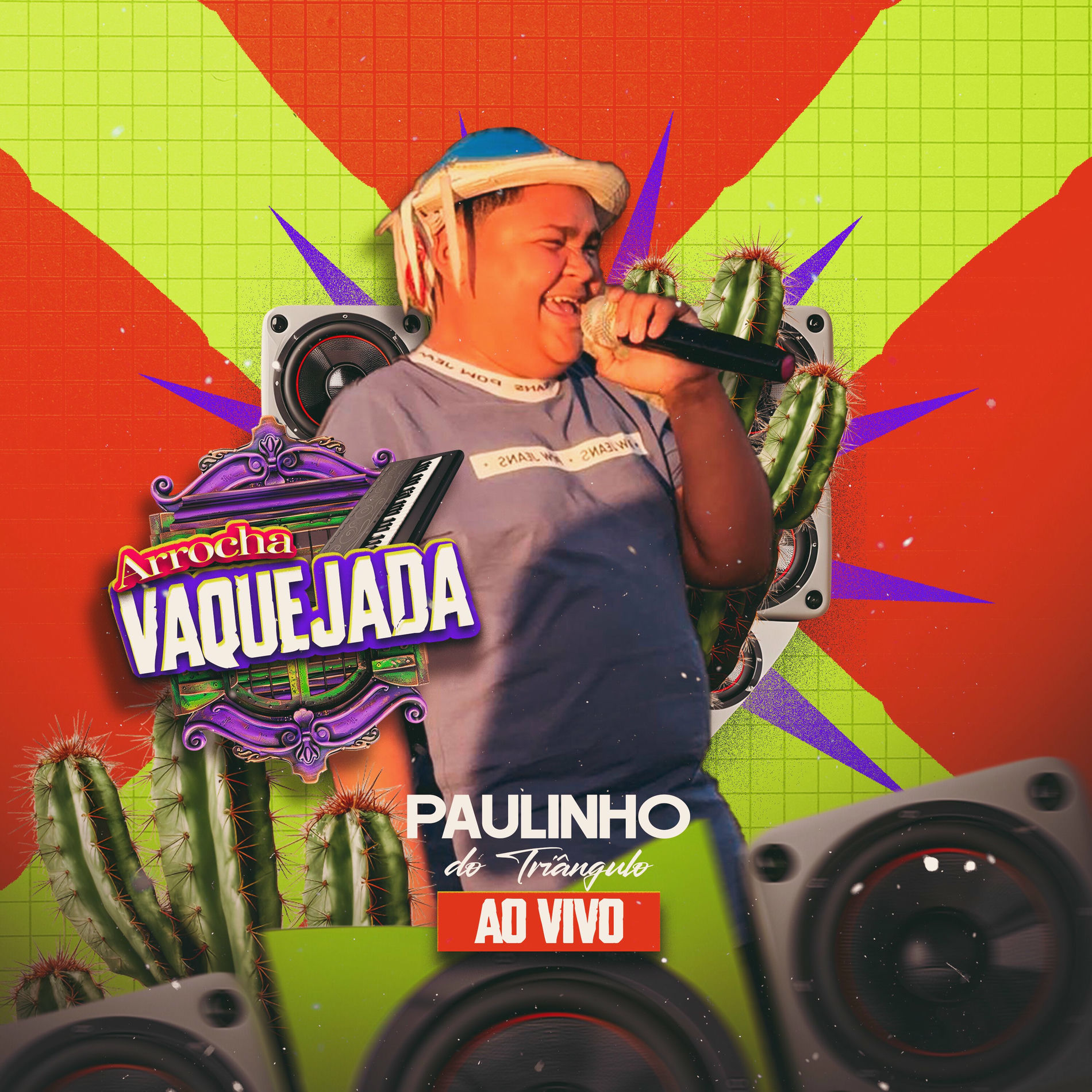 Album cover of Arrocha Vaquejada (Ao Vivo)