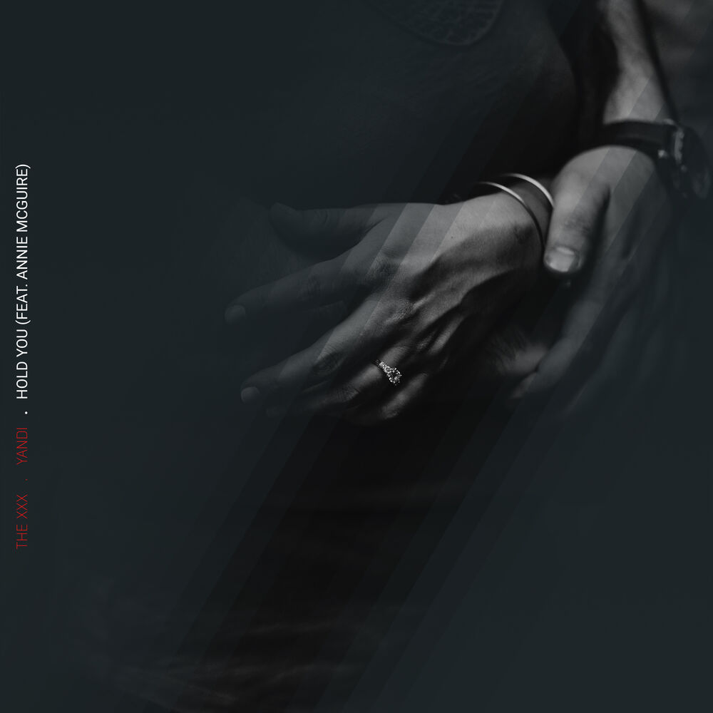 Picture of Hold You (feat. Annie McGuire)
