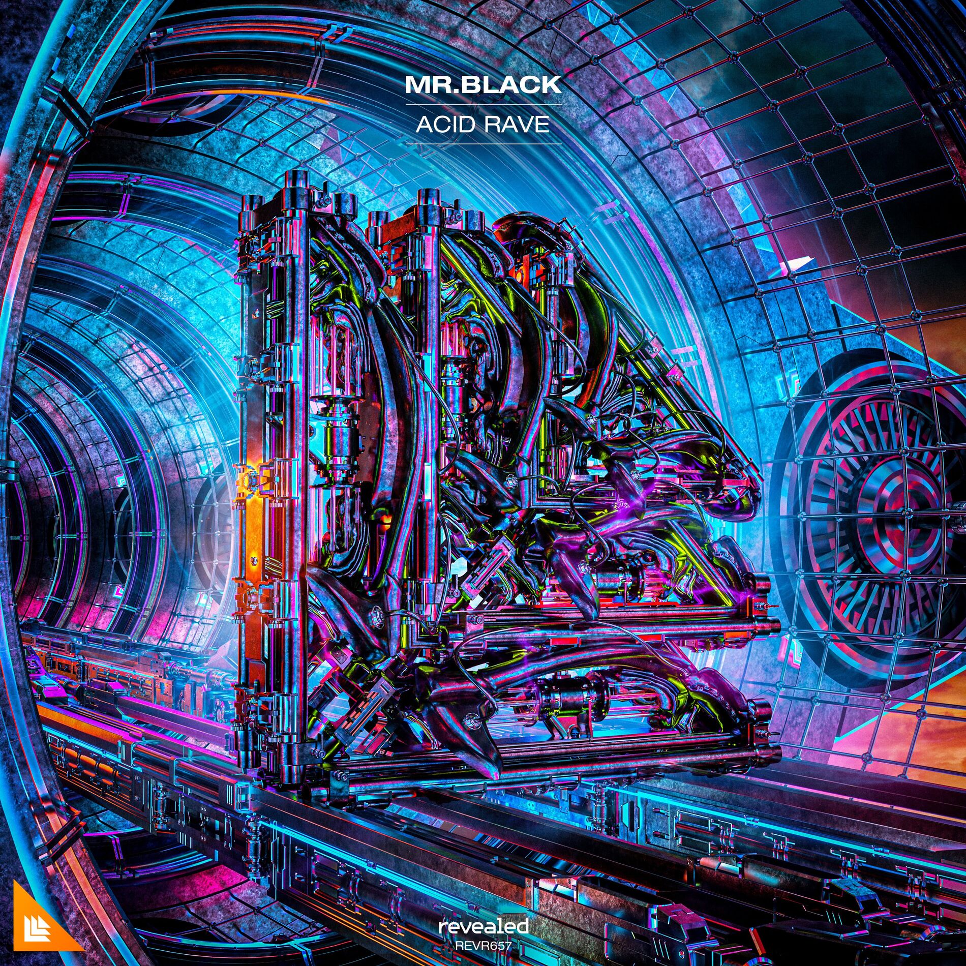 Album cover of Acid Rave