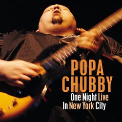 Cover of One Night Live in New York City