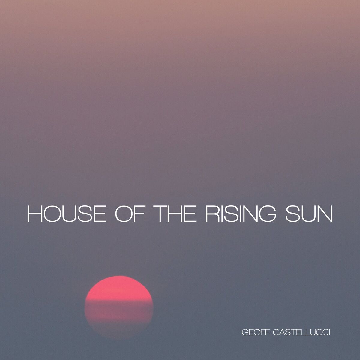 Album cover of House of the Rising Sun