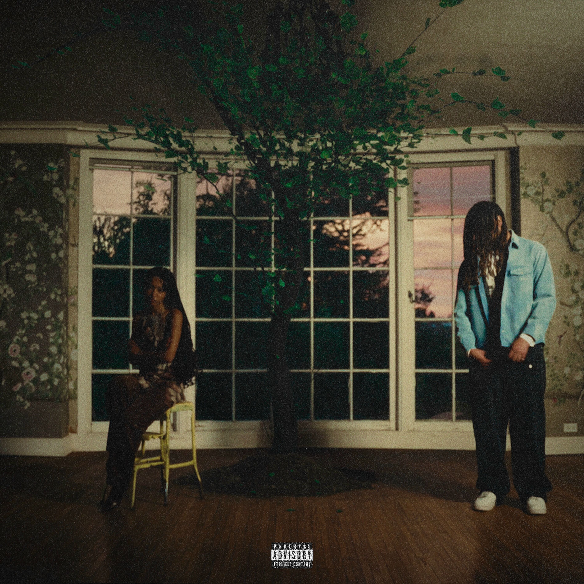 Album cover of argue typing