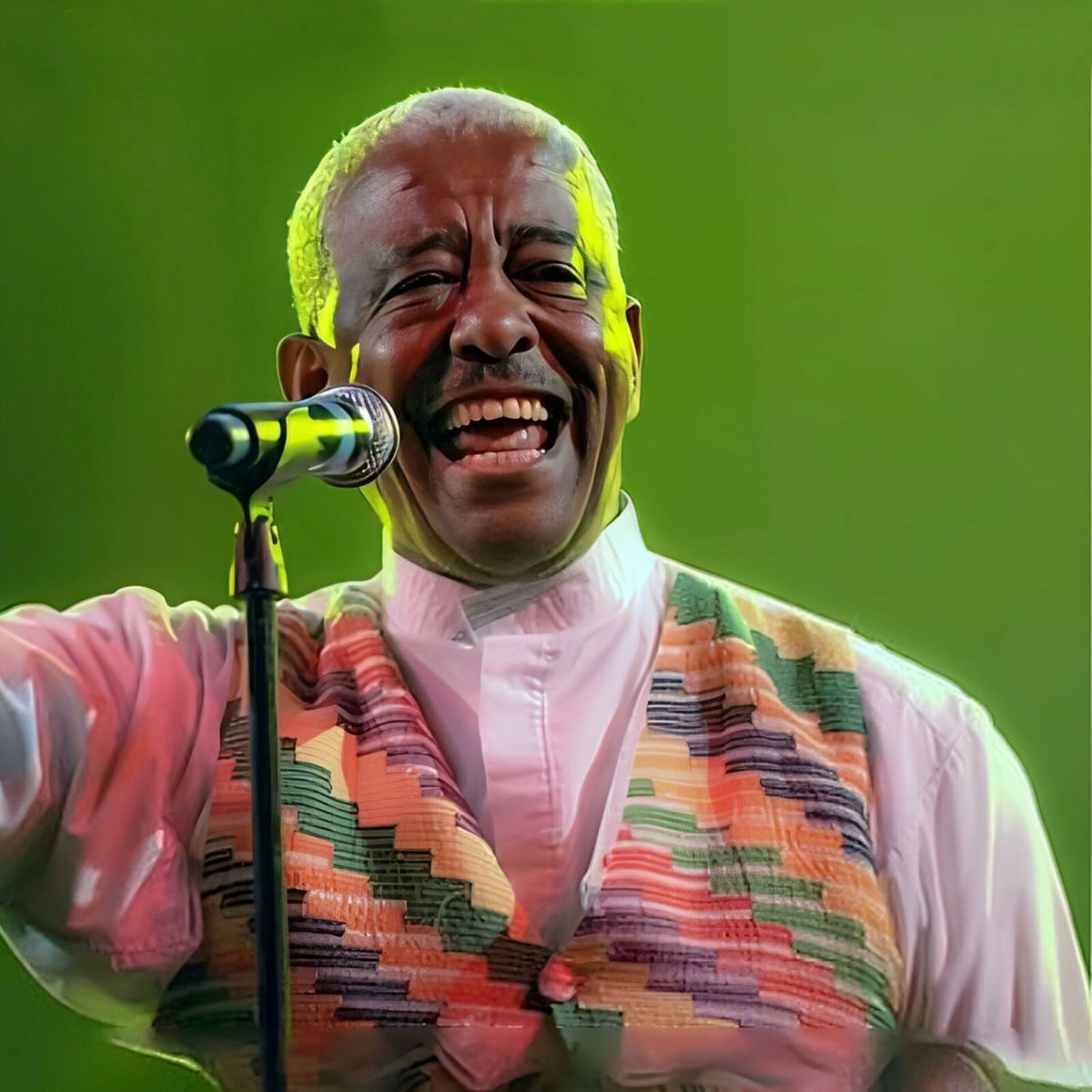 Album cover of Zemeta New Meles