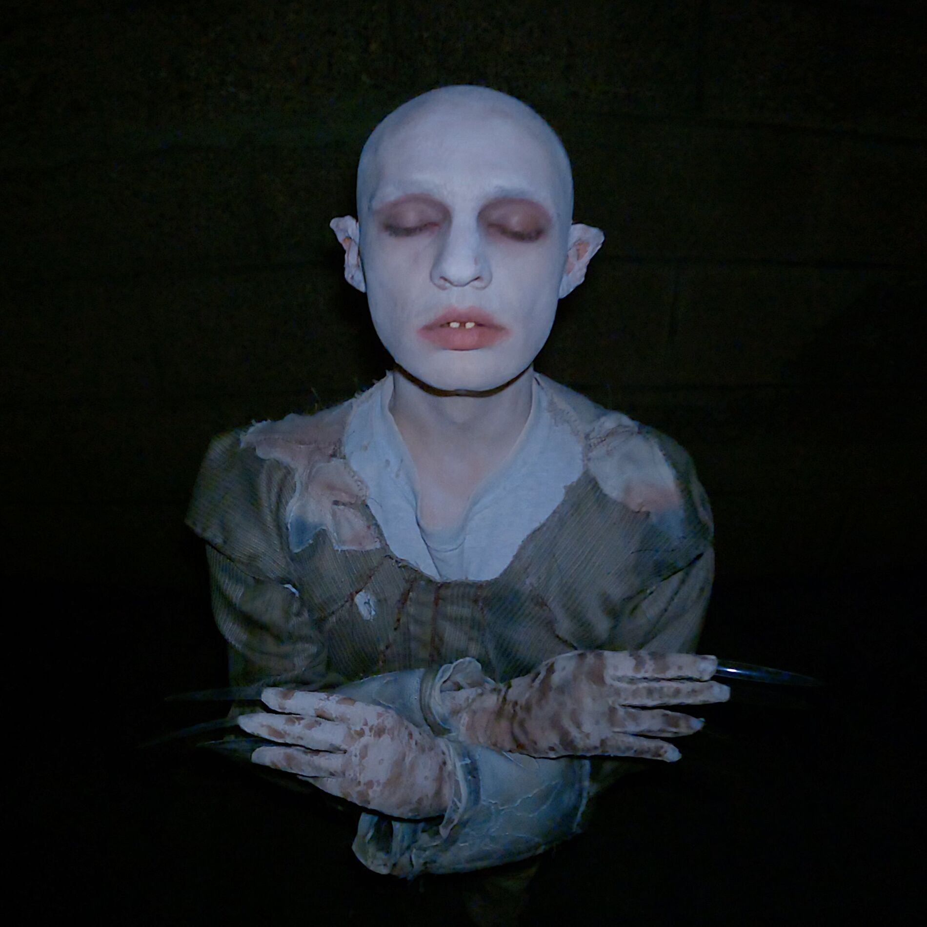 Album cover of Into The Night