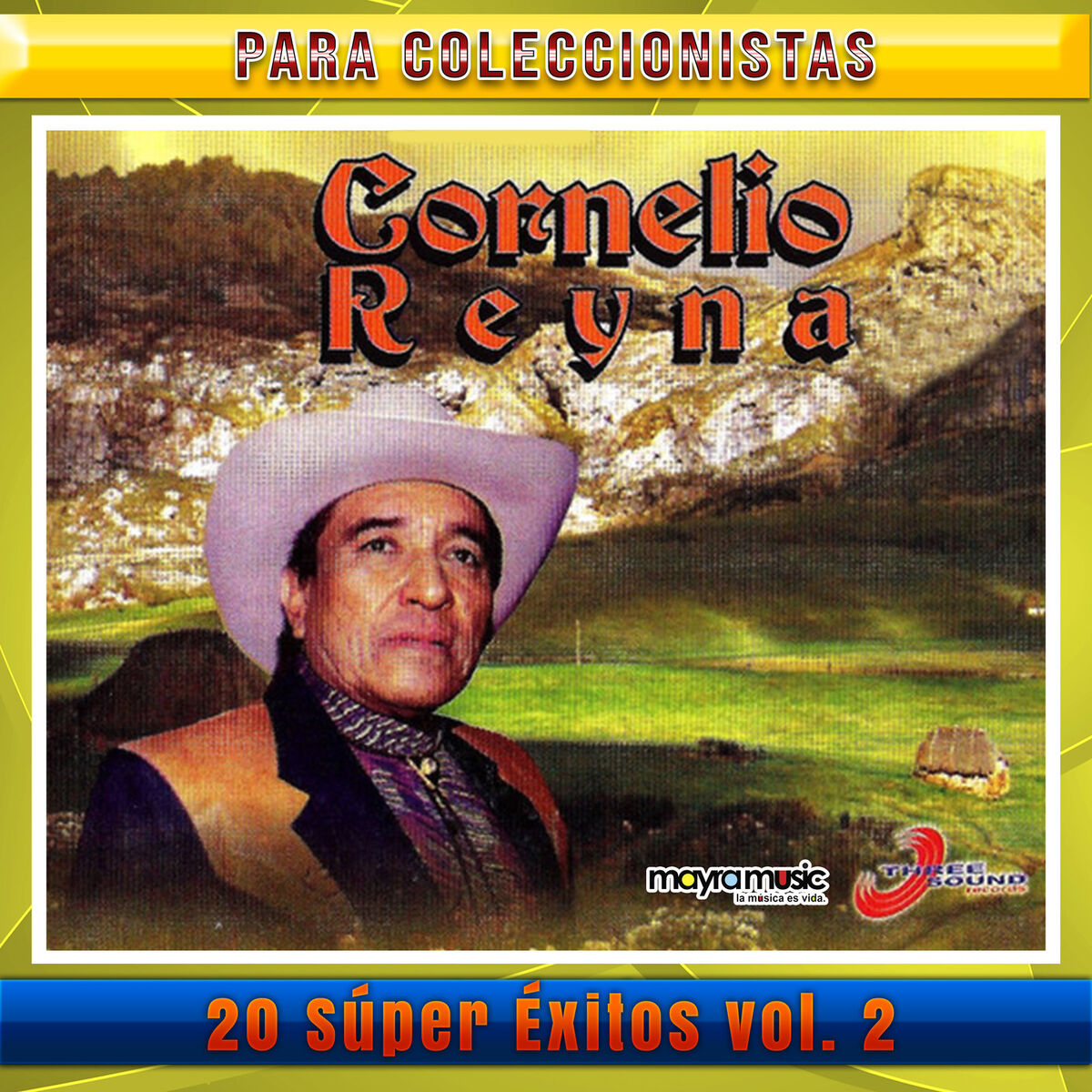Album cover of 20 Súper Éxitos, Volumen 2