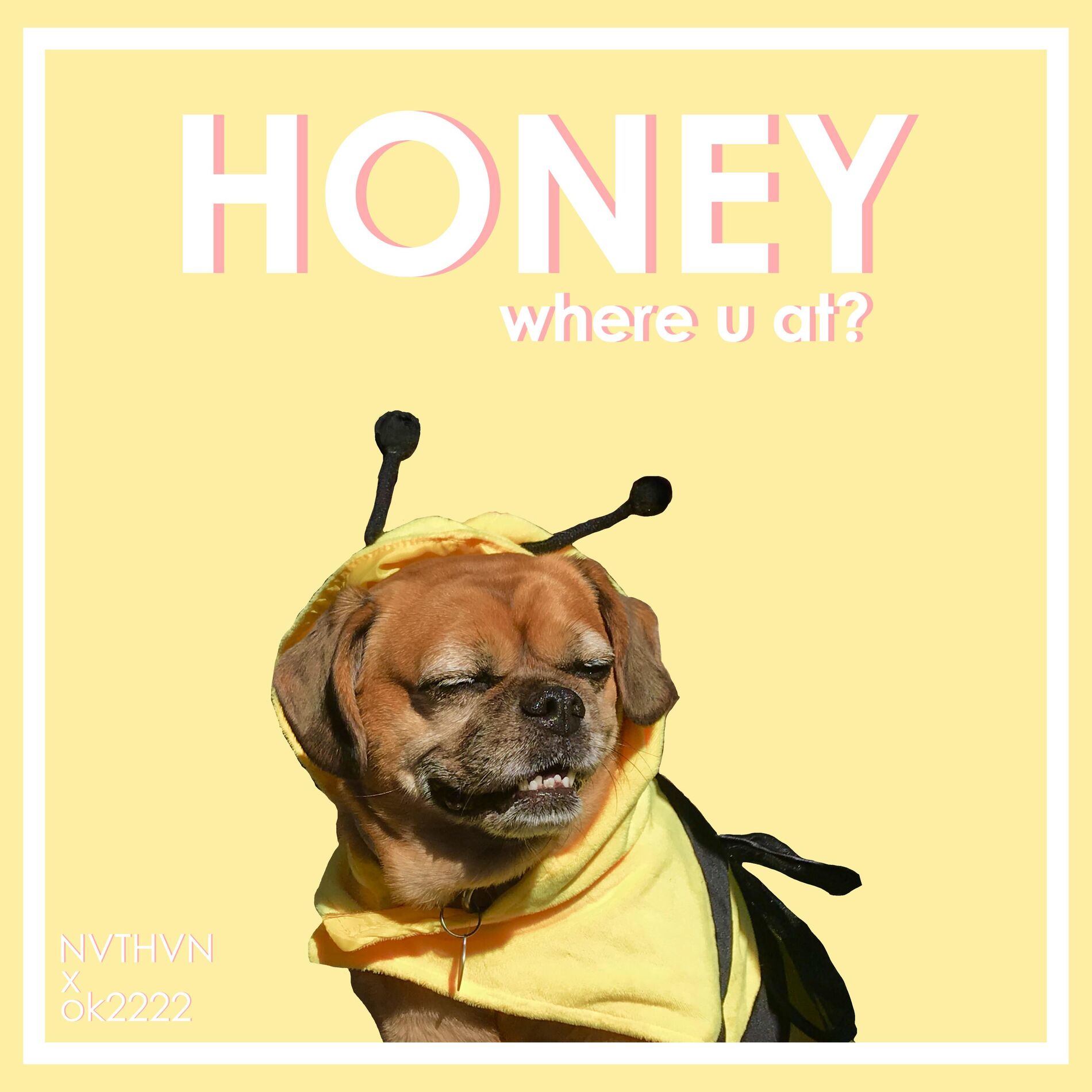 Album cover of Honey (Where U At?)