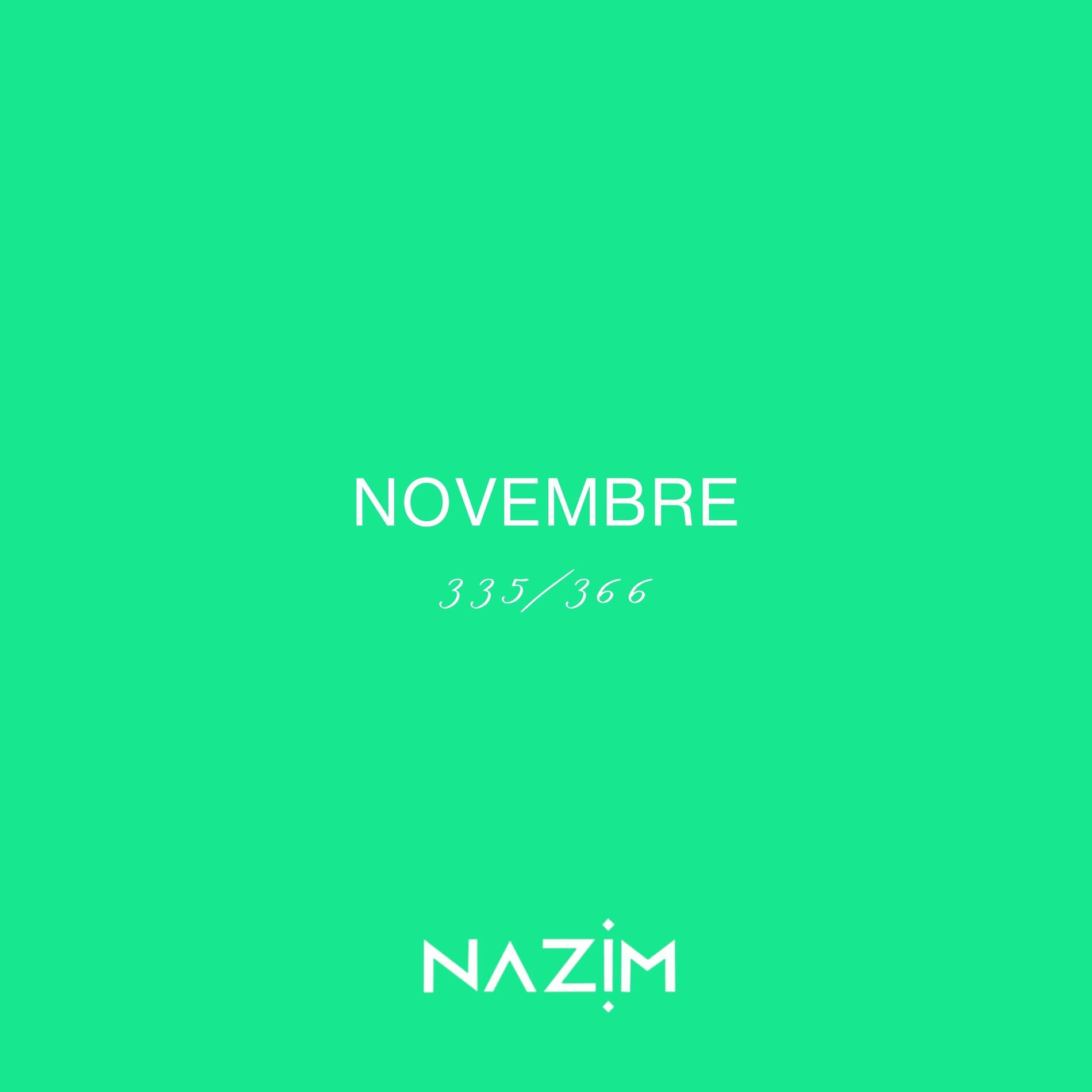 Album cover of NOVEMBRE