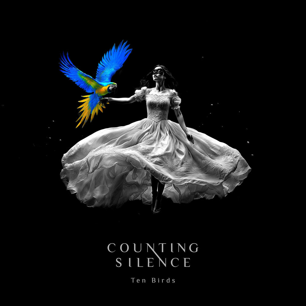 Album artwork for Hold This Fire by Counting Silence