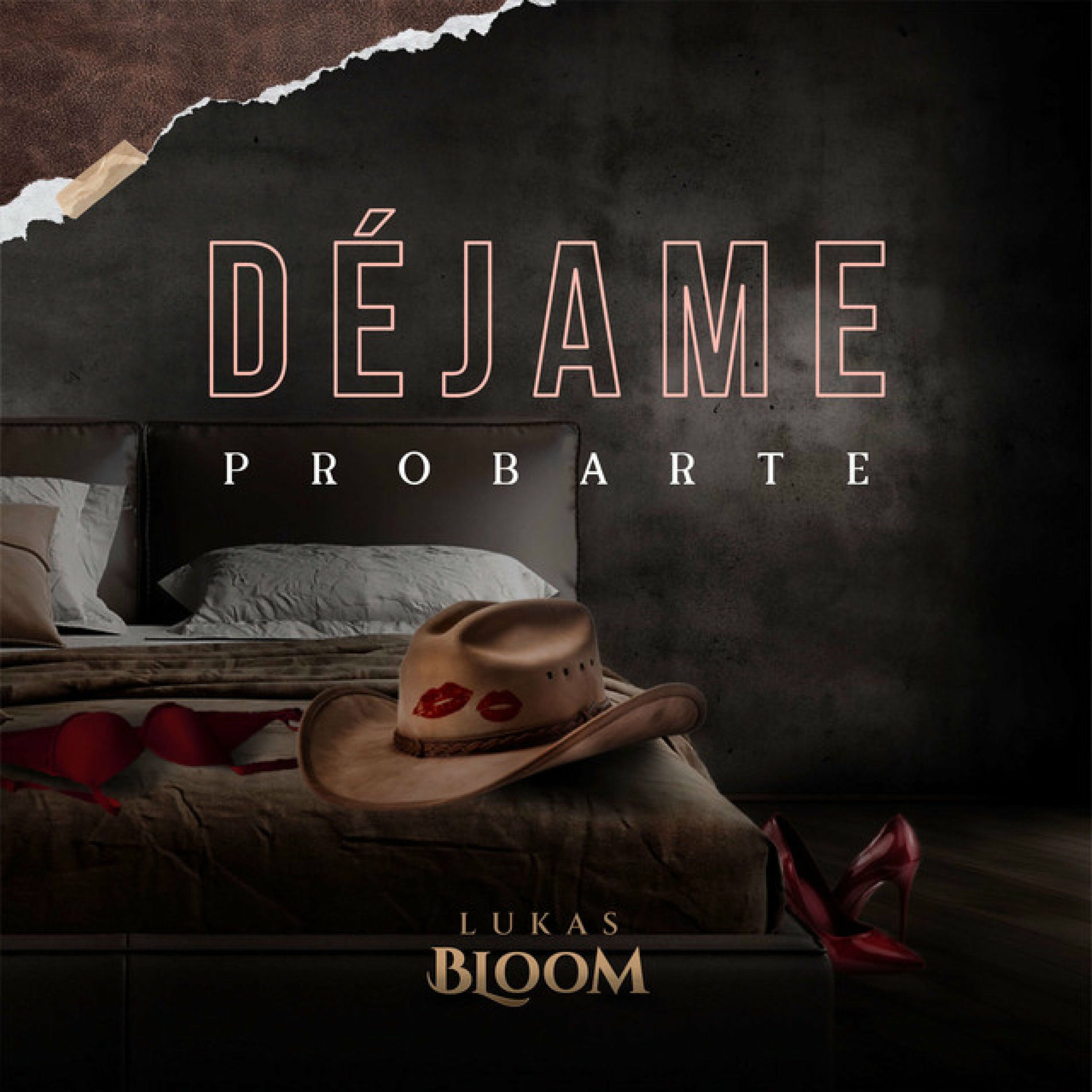 Album cover of Déjame Probarte