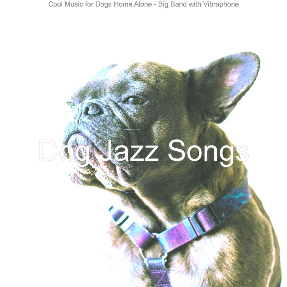 Picture of Cool Music for Dogs Home Alone - Big Band with Vibraphone