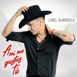 Cover of A Mí Me Gustas Tú