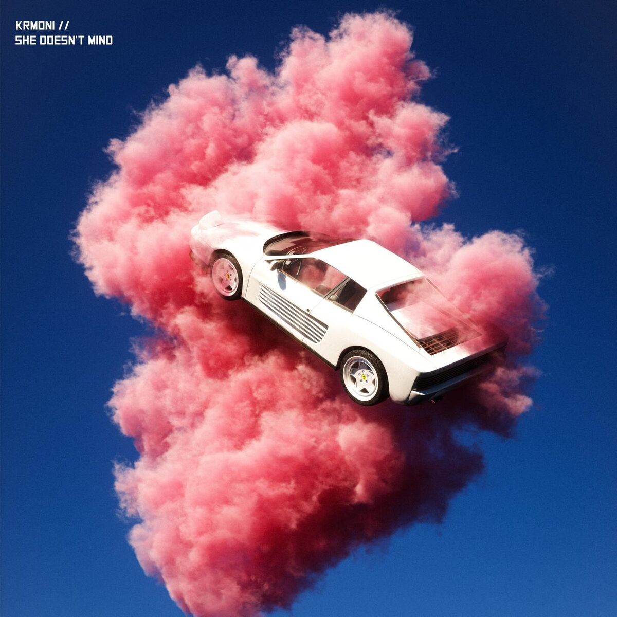 Album cover of She Doesn't Mind