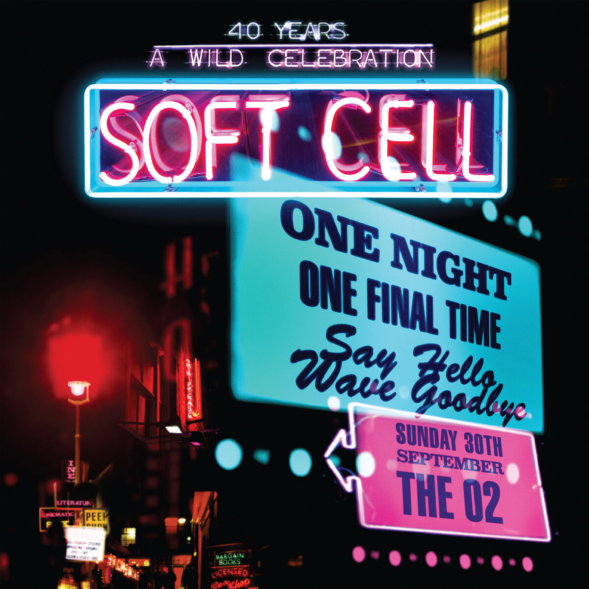 Album cover of Say Hello, Wave Goodbye