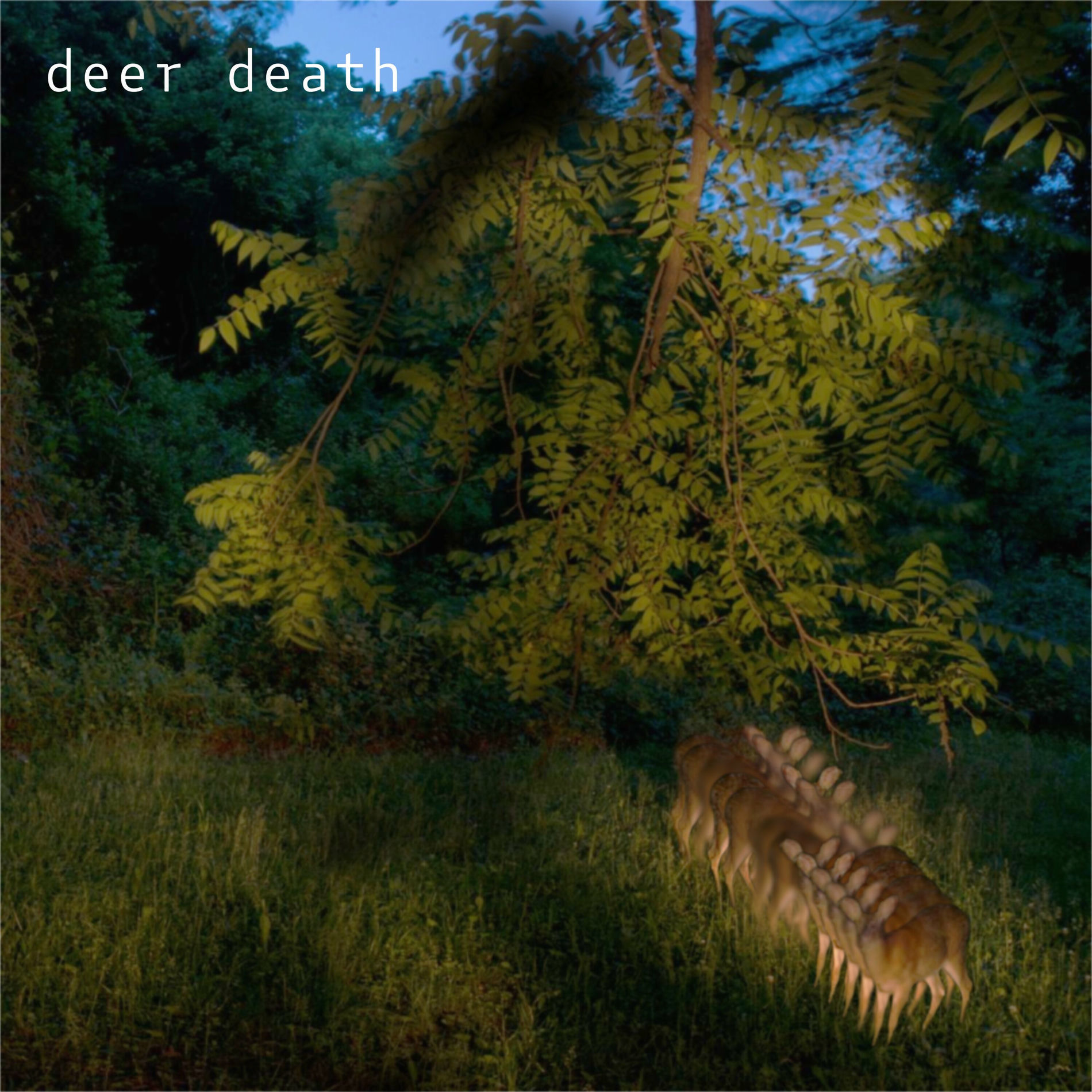 Album cover of fractured