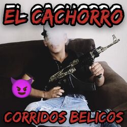 Cover of El Cachorro