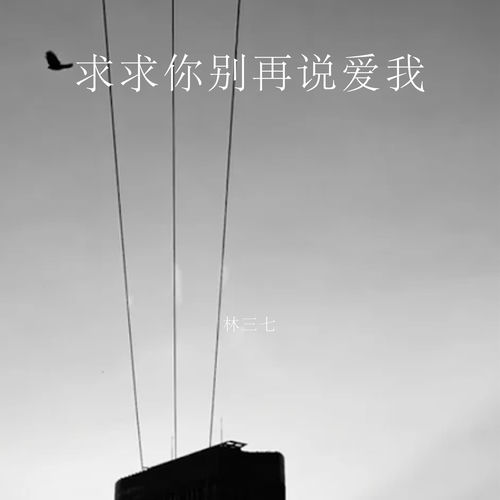 求求你别再说爱我