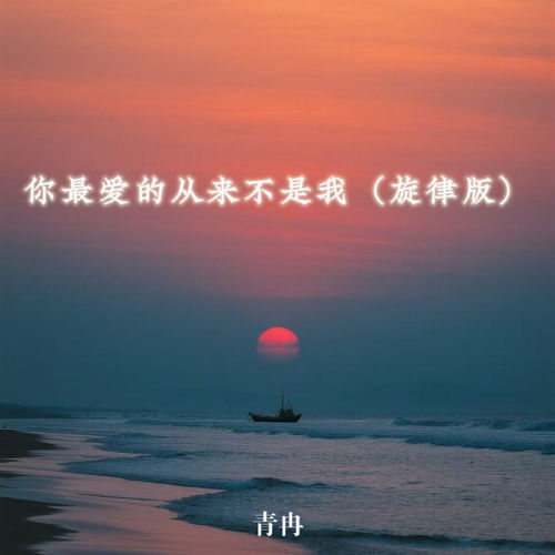 你最爱的从来不是我 (旋律版)