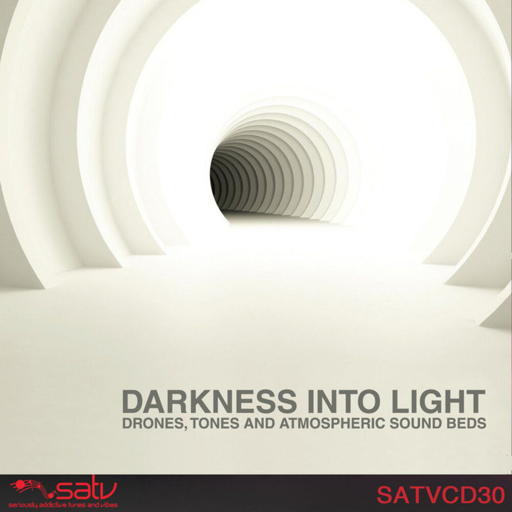 Picture of Darkness into Light