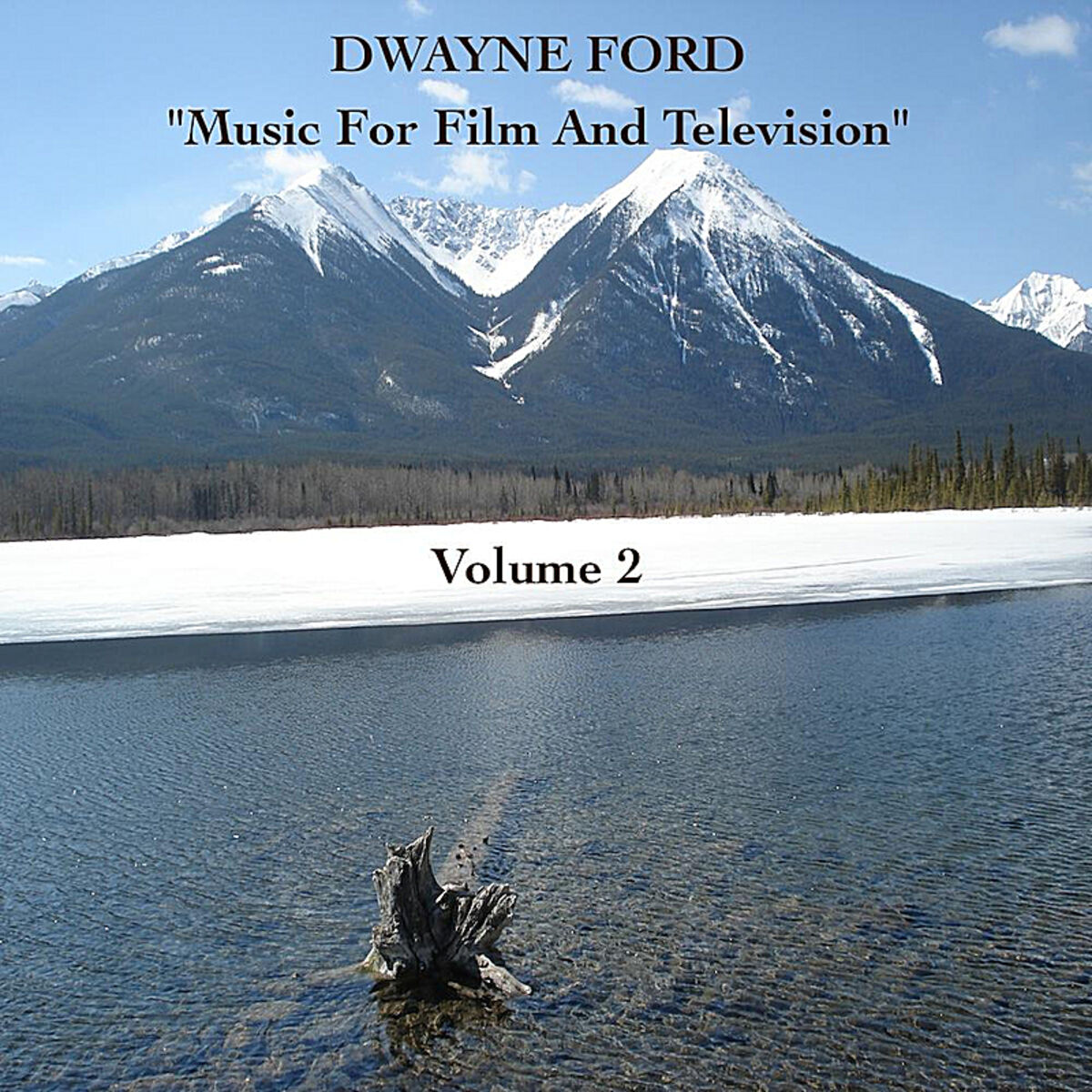Album cover of 
