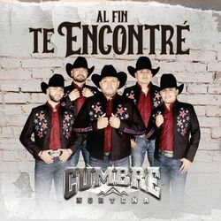 Cover of Al Fin Te Encontré