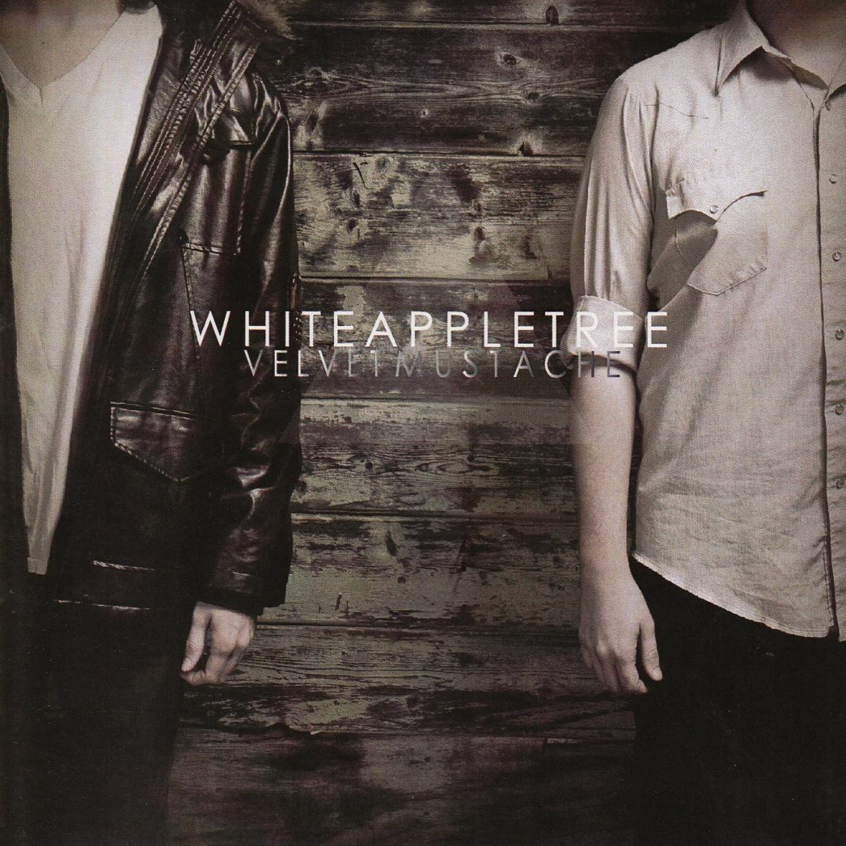 Album cover of Velvet Mustache