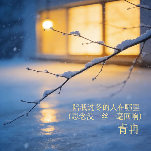 陪我过冬的人在哪里 (思念没一丝一毫回响)