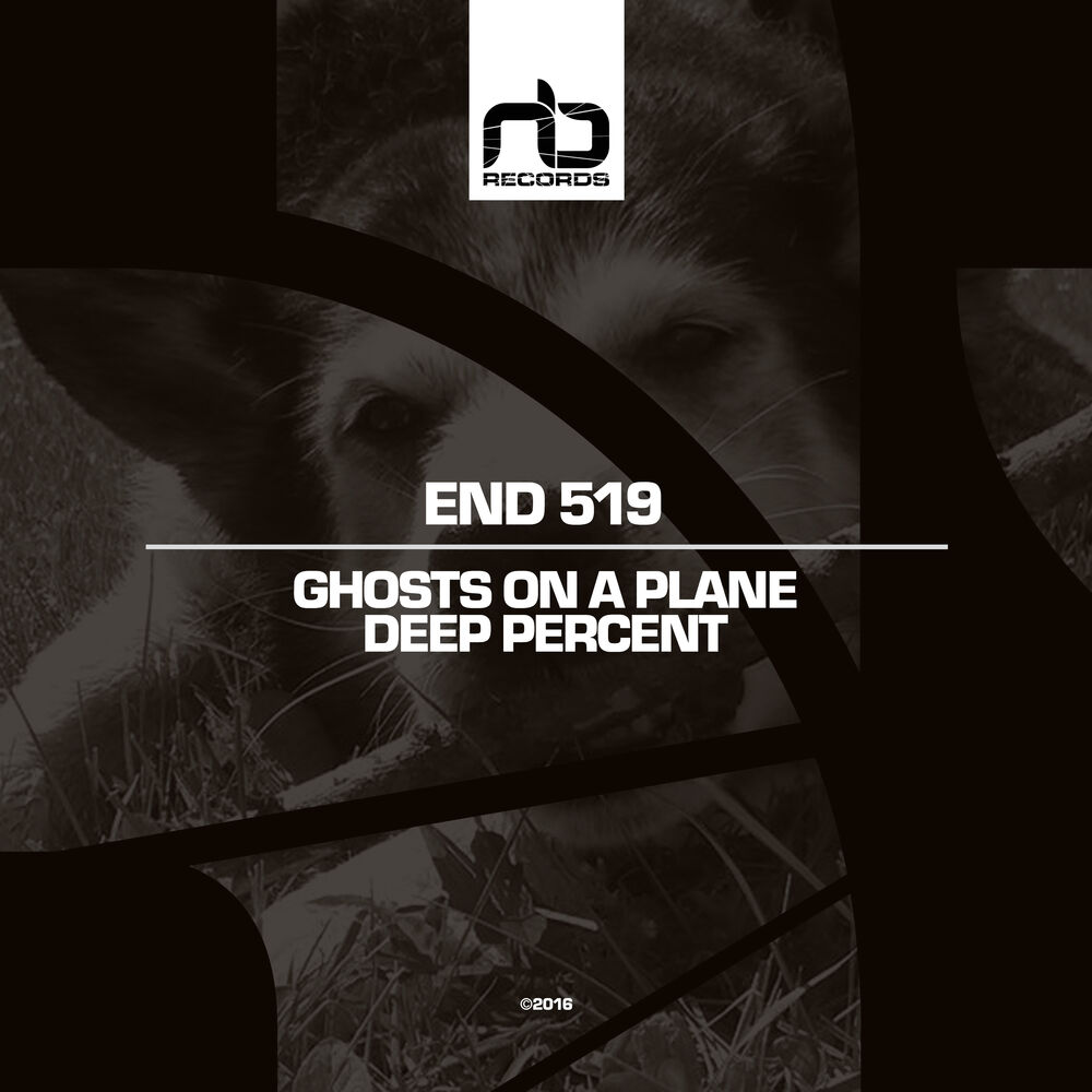 Picture of Ghosts On a Plane / Deep Percent