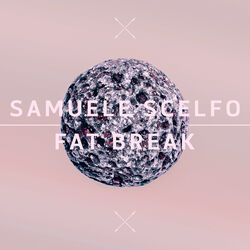 Cover of Fat Break
